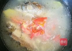 西红柿鲫鱼汤的做法图解6