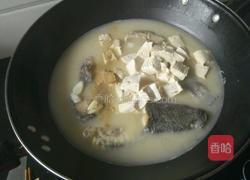 黑鱼豆腐汤的做法图解13