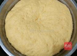 红薯馒头的做法图解6