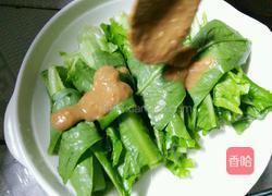 麻酱生拌油麦菜的做法图解6