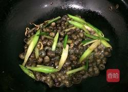 炒田螺的做法图解6