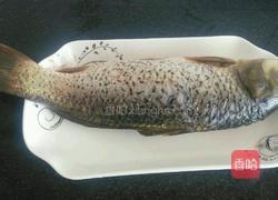 豆腐烧鱼块的做法图解1