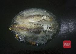 红烧小鲫鱼的做法图解5