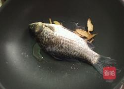 清炖鲫鱼的做法图解3
