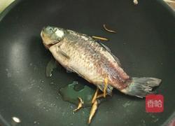 清炖鲫鱼的做法图解4