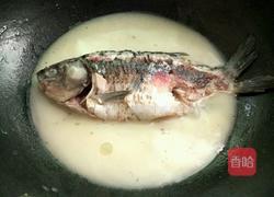 清炖鲫鱼的做法图解6
