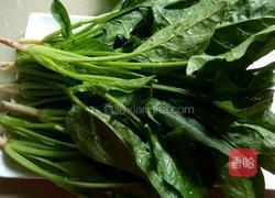凉拌芝麻菠菜的做法图解1