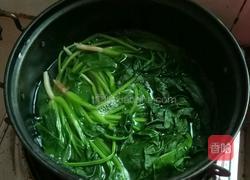 凉拌芝麻菠菜的做法图解2