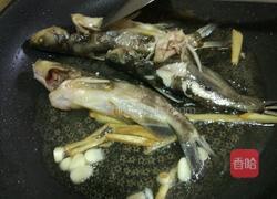 黄骨鱼汤的做法图解5