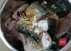 家常红烧鱼块的做法图解3