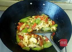 西红柿丝瓜炒鸡蛋的做法图解6