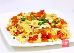 鸡蛋西红柿的做法图解12