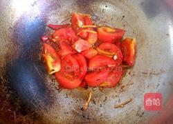 西红柿炒豆角的做法图解7