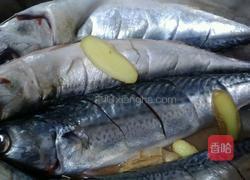 红烧鲅鱼的做法图解3