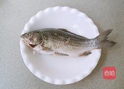 清炖鲫鱼汤的做法图解1