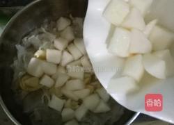 雪梨银耳百合汤的做法图解6