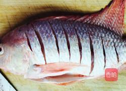 家常糖醋鱼的做法图解1