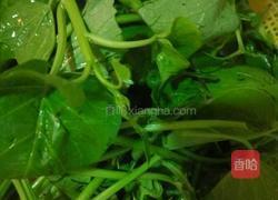 辣椒炒红番叶的做法图解1