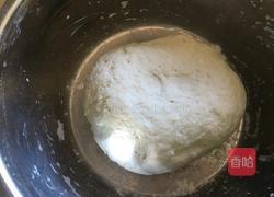 黄瓜鸡蛋水饺的做法图解1