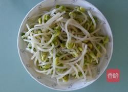 黄豆芽炒木耳的做法图解2