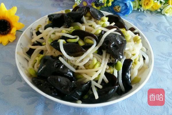 黄豆芽炒木耳