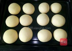 杏仁椰蓉小餐包的做法图解11