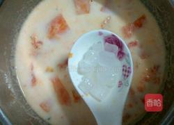 牛奶炖木瓜的做法图解5