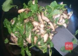 香菇抄彩椒的做法图解5