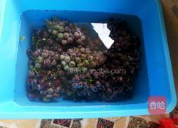 自晾葡萄酒的做法图解1