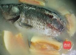 木瓜鲫鱼汤的做法图解7