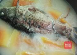 木瓜鲫鱼汤的做法图解8