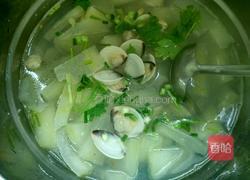 冬瓜花蛤汤的做法图解6