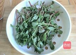 凉拌马齿笕的做法图解1