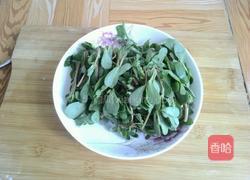 凉拌马齿笕的做法图解2