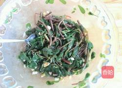 凉拌马齿笕的做法图解10