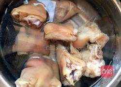 啤酒猪蹄的做法图解4