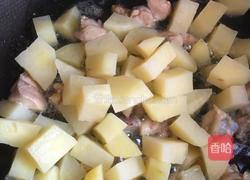 土豆烧鸡的做法图解6