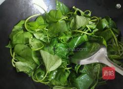 炒红薯叶的做法图解4