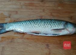 黄焖草鱼的做法图解1