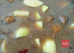 鸡块炖土豆的做法图解8