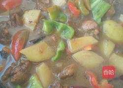 鸡块炖土豆的做法图解9