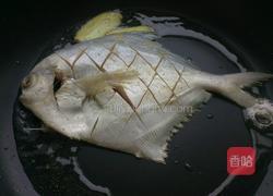 香煎白鲳鱼的做法图解4