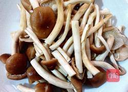 茶树菇烧木耳的做法图解1