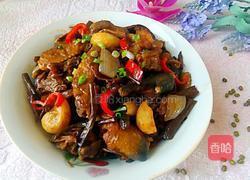茶树菇干锅鸡的做法图解18