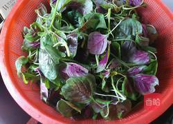 炒苋菜的做法图解1