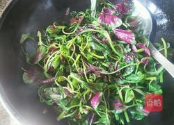 炒苋菜的做法图解4