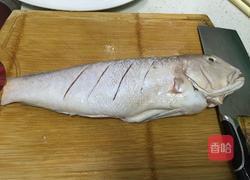 清蒸马头鱼的做法图解2