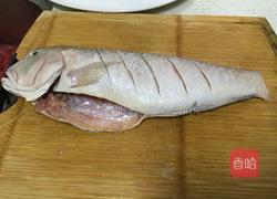 清蒸马头鱼的做法图解3