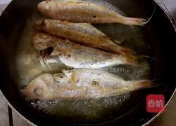 红烧红杉鱼的做法图解6