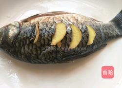 红枣冬瓜鲫鱼汤的做法图解3